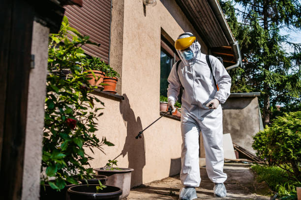 Best Pest Removal Services  in Cadiz, OH