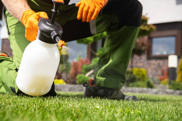 Best Wasp Removal Services  in Cadiz, OH