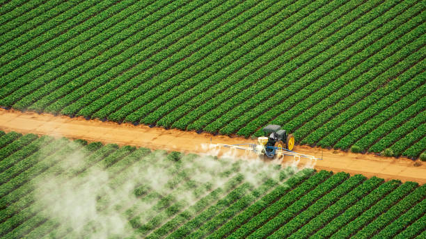Best Ant Control Services  in Cadiz, OH